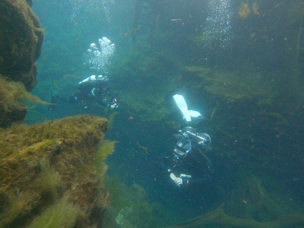 Dayo Scuba Center LLC, Orlando Florida www.dayo.com