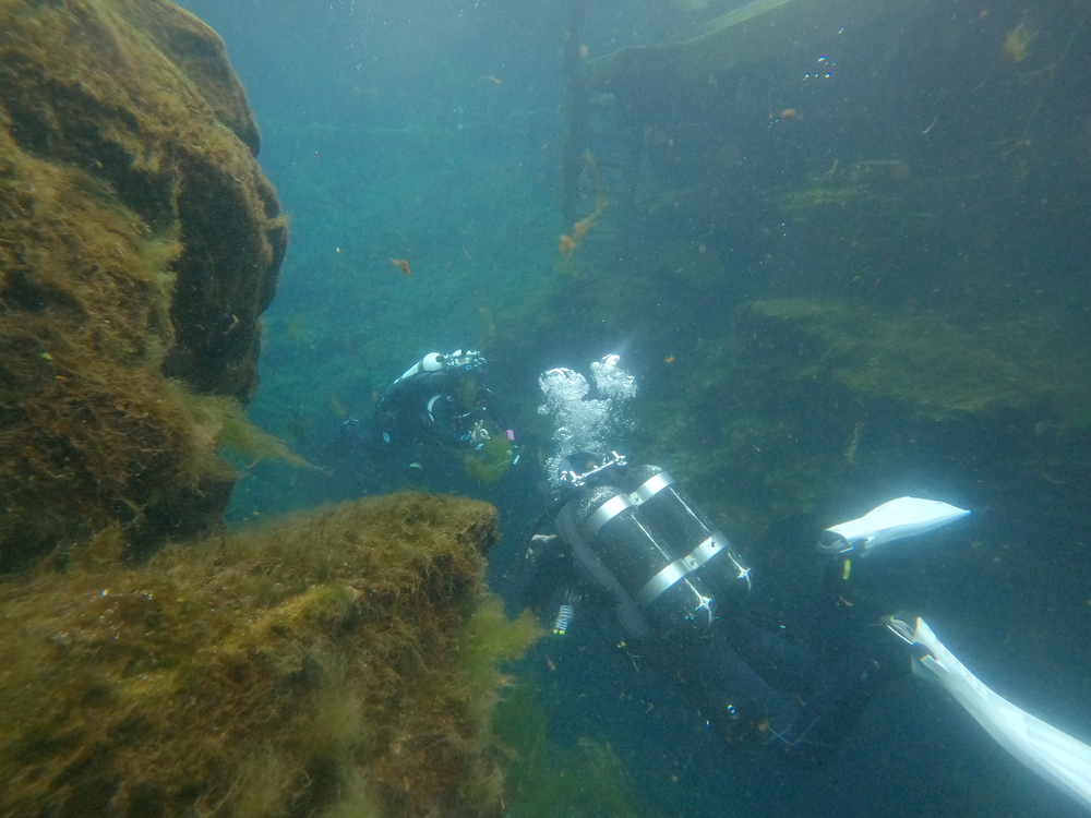 Dayo Scuba Center LLC, Orlando Florida www.dayo.com