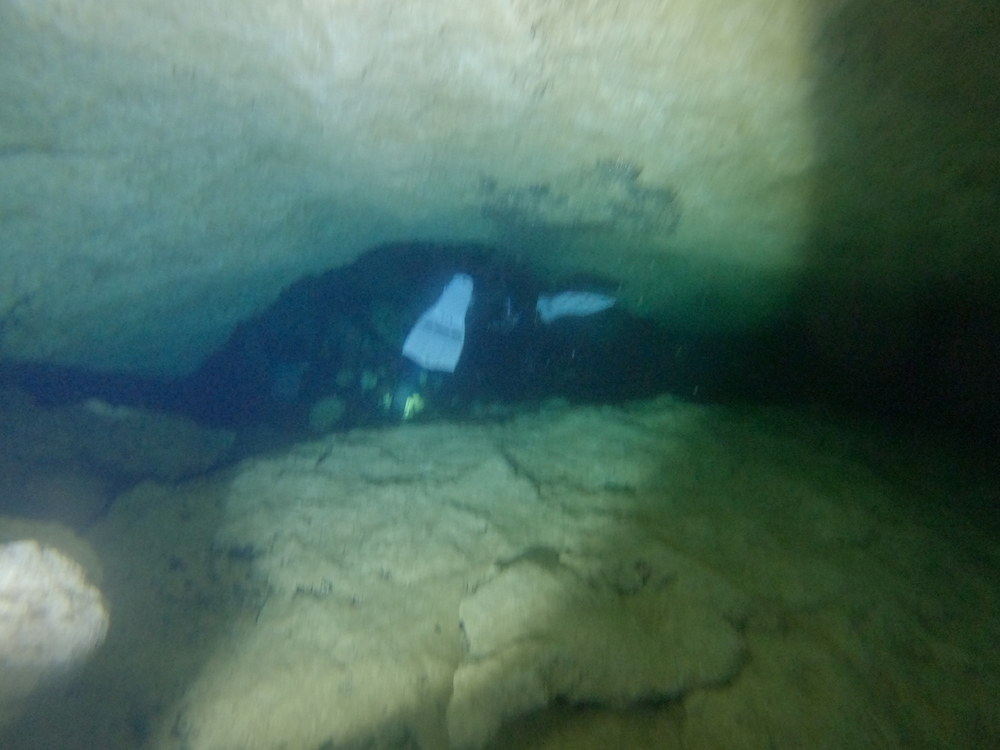 Dayo Scuba Center LLC, Orlando Florida www.dayo.com