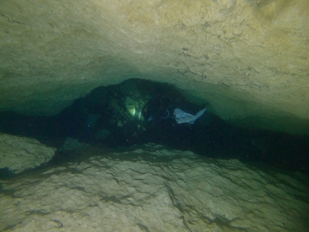Dayo Scuba Center LLC, Orlando Florida www.dayo.com