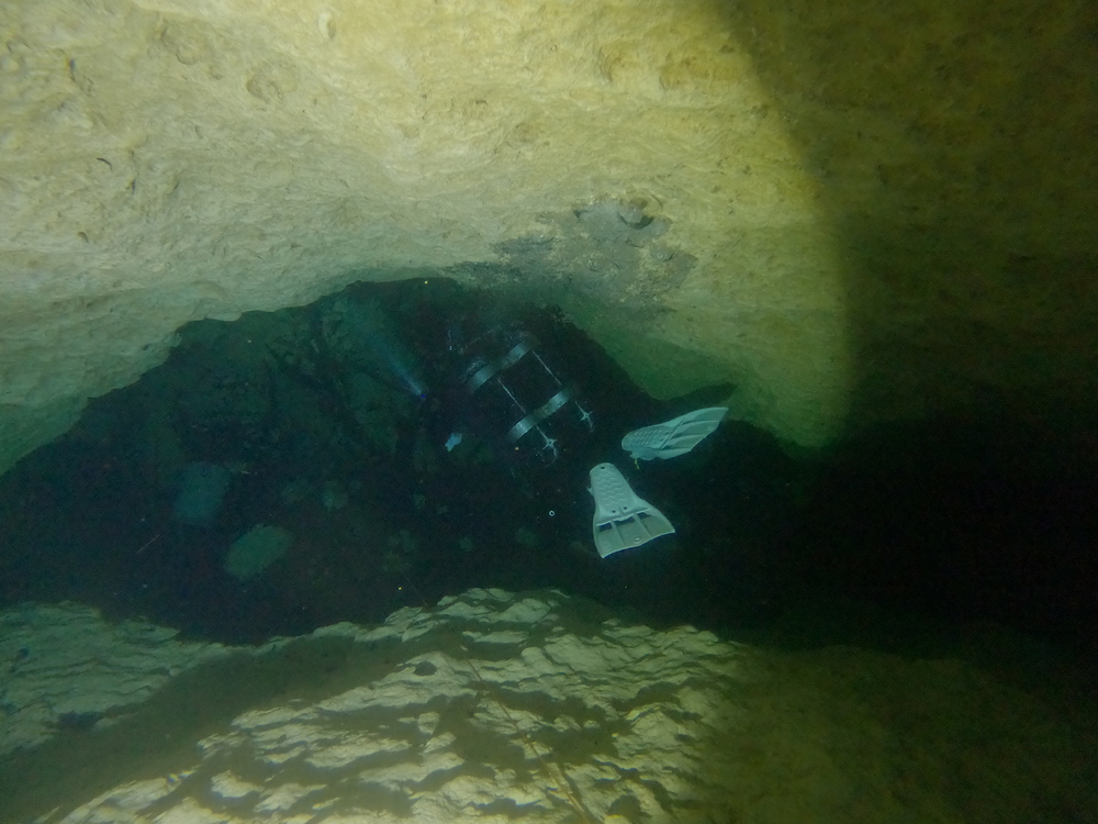 Dayo Scuba Center LLC, Orlando Florida www.dayo.com
