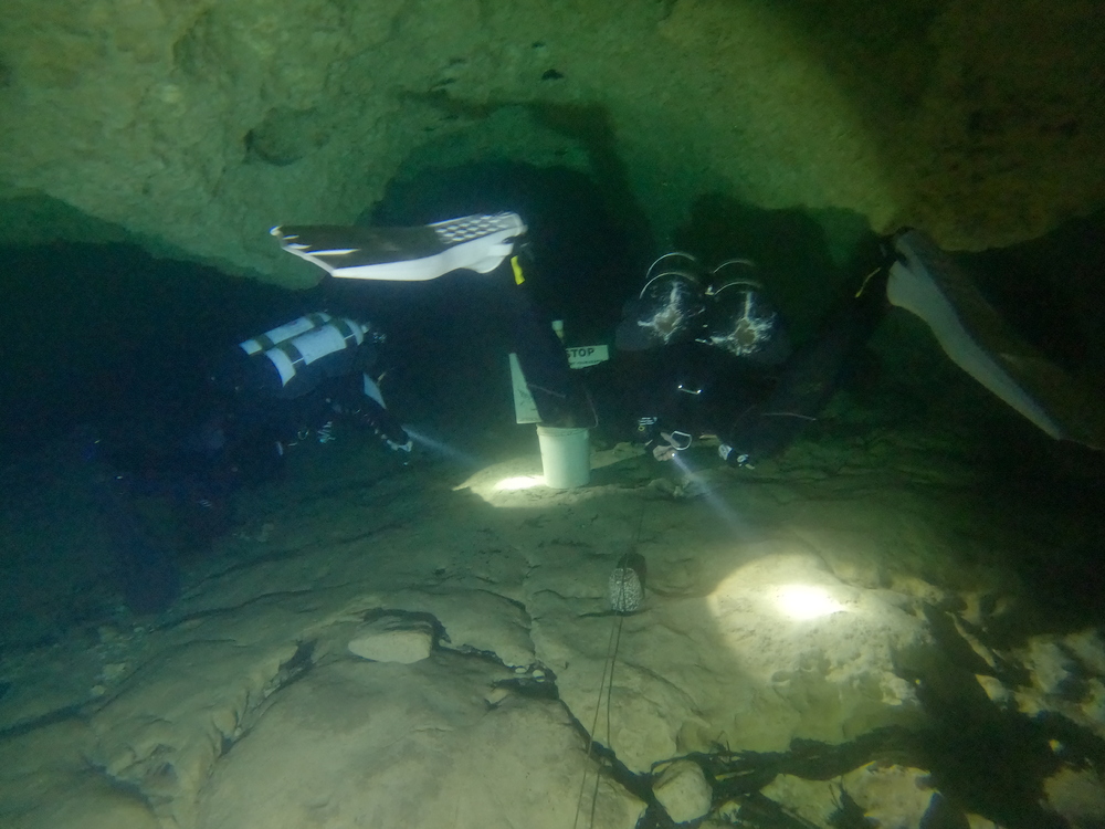 Dayo Scuba Center LLC, Orlando Florida www.dayo.com