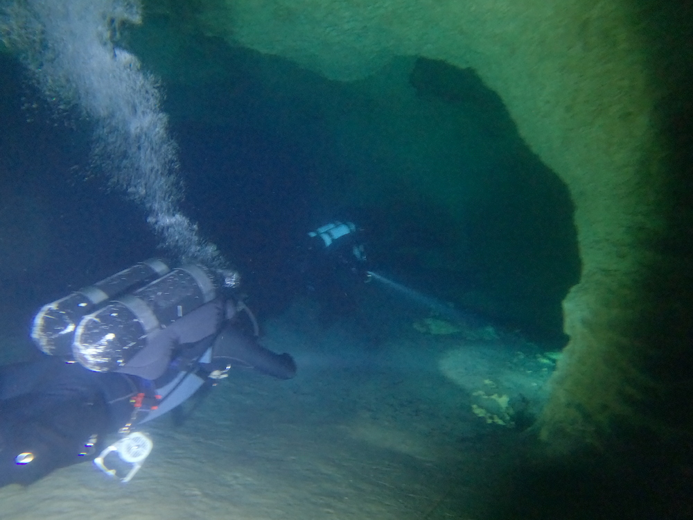 Dayo Scuba Center LLC, Orlando Florida www.dayo.com