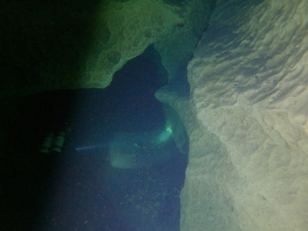Dayo Scuba Center LLC, Orlando Florida www.dayo.com