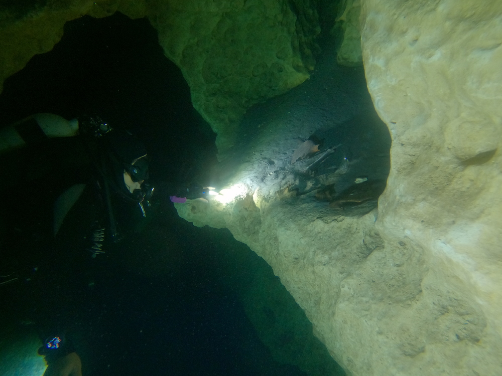 Dayo Scuba Center LLC, Orlando Florida www.dayo.com