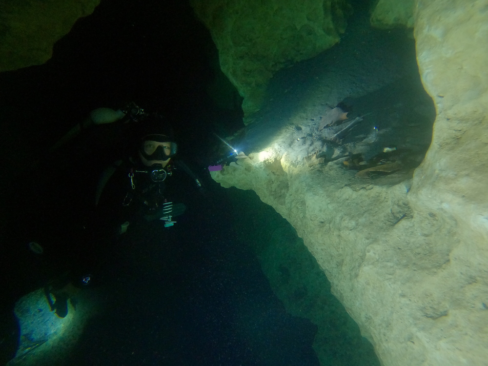 Dayo Scuba Center LLC, Orlando Florida www.dayo.com