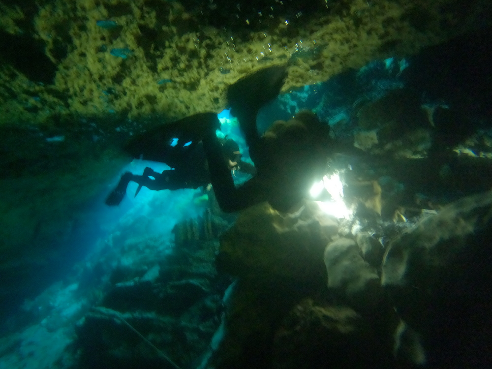 Dayo Scuba Center LLC, Orlando Florida www.dayo.com