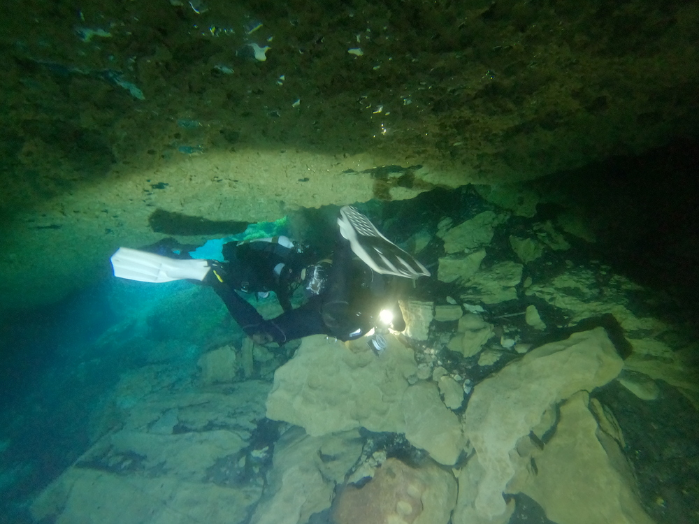 Dayo Scuba Center LLC, Orlando Florida www.dayo.com