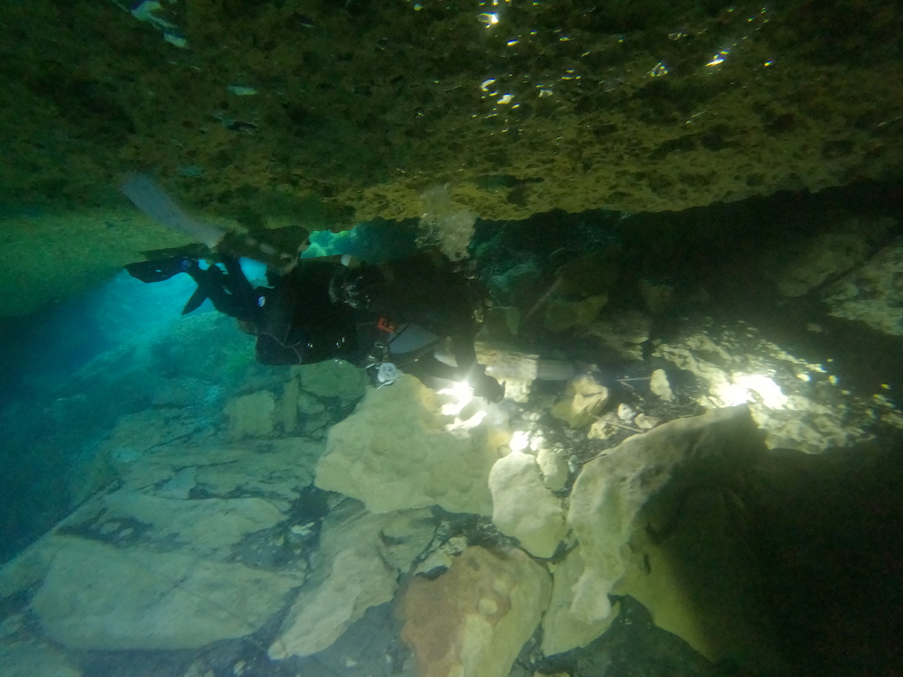 Dayo Scuba Center LLC, Orlando Florida www.dayo.com