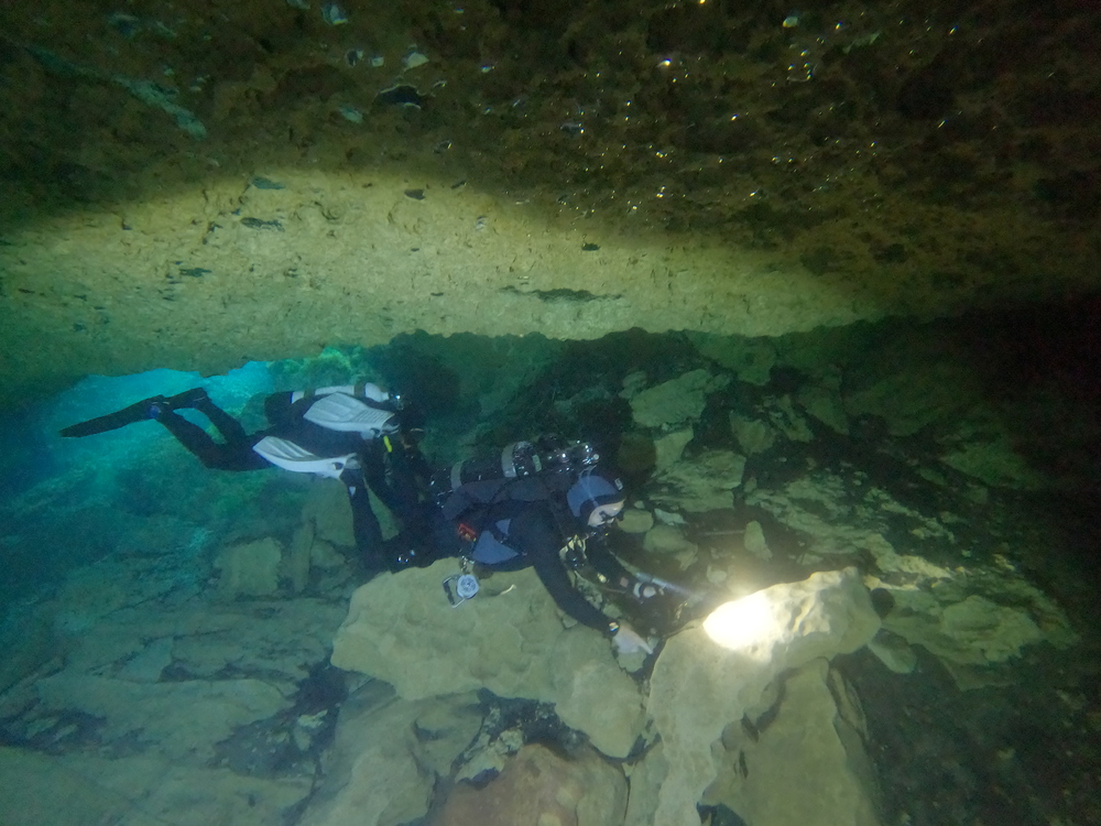 Dayo Scuba Center LLC, Orlando Florida www.dayo.com