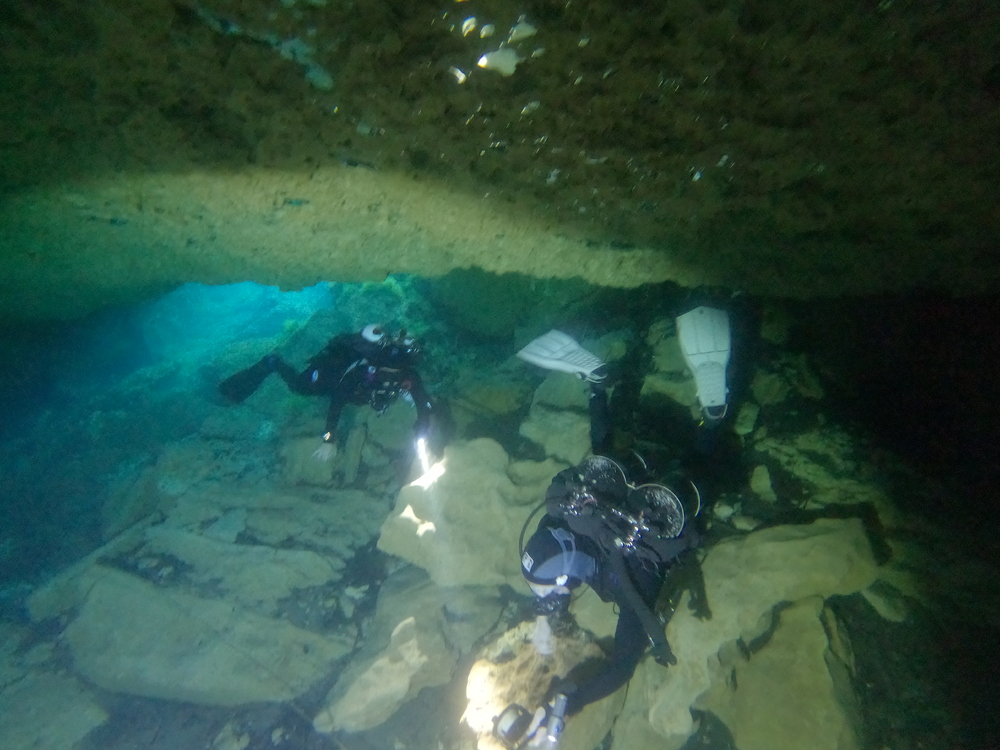 Dayo Scuba Center LLC, Orlando Florida www.dayo.com