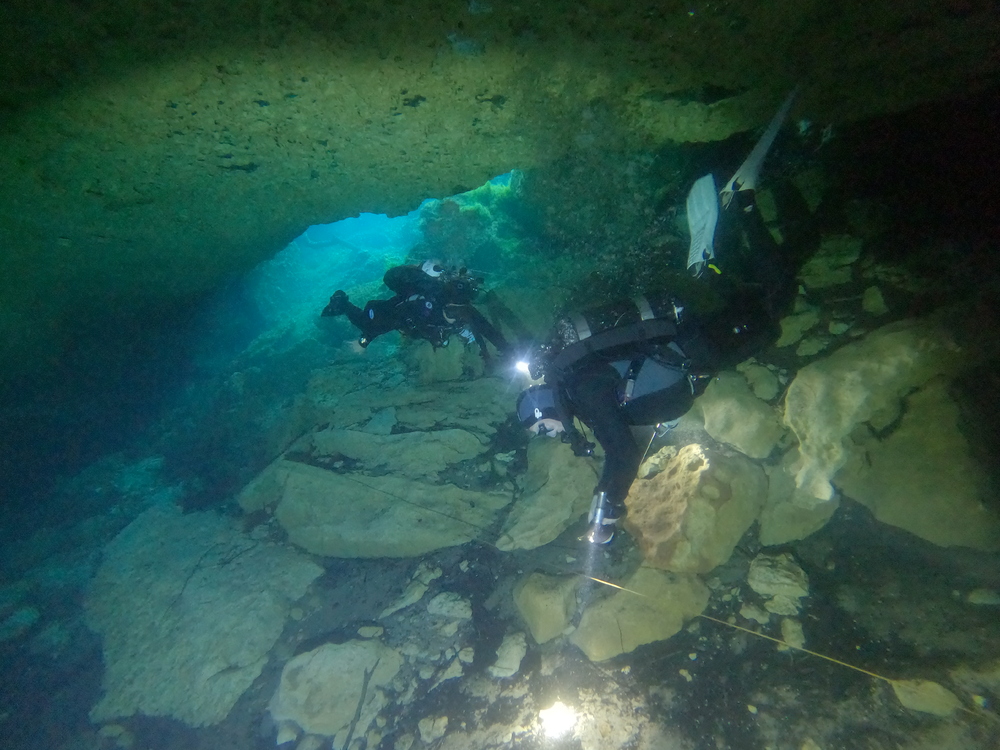 Dayo Scuba Center LLC, Orlando Florida www.dayo.com