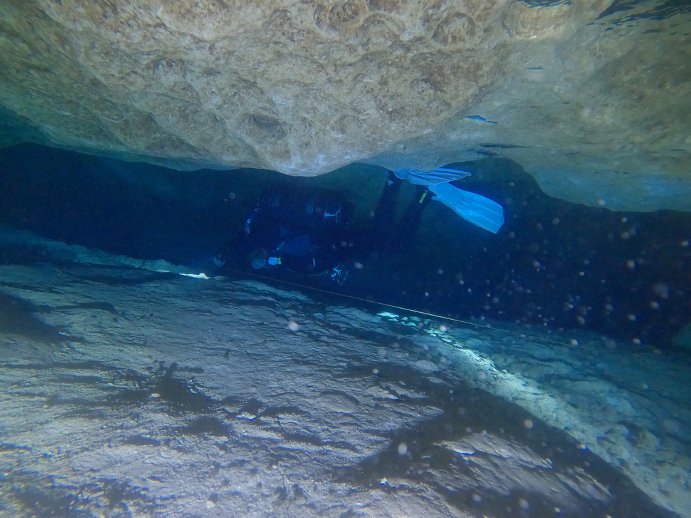 Dayo Scuba Center LLC, Orlando Florida www.dayo.com