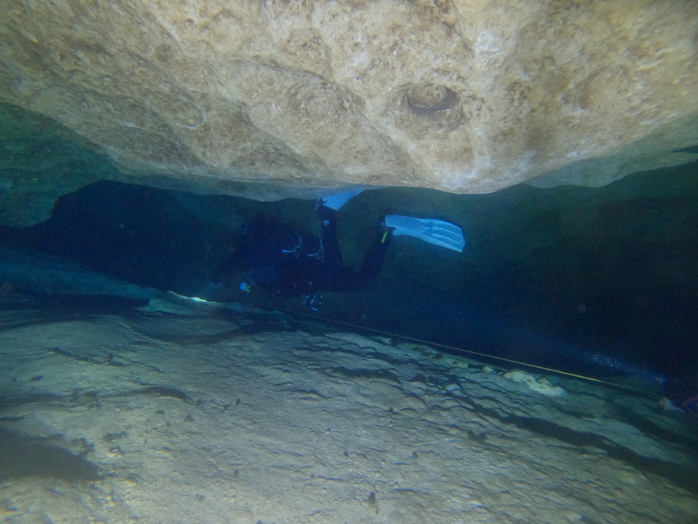Dayo Scuba Center LLC, Orlando Florida www.dayo.com