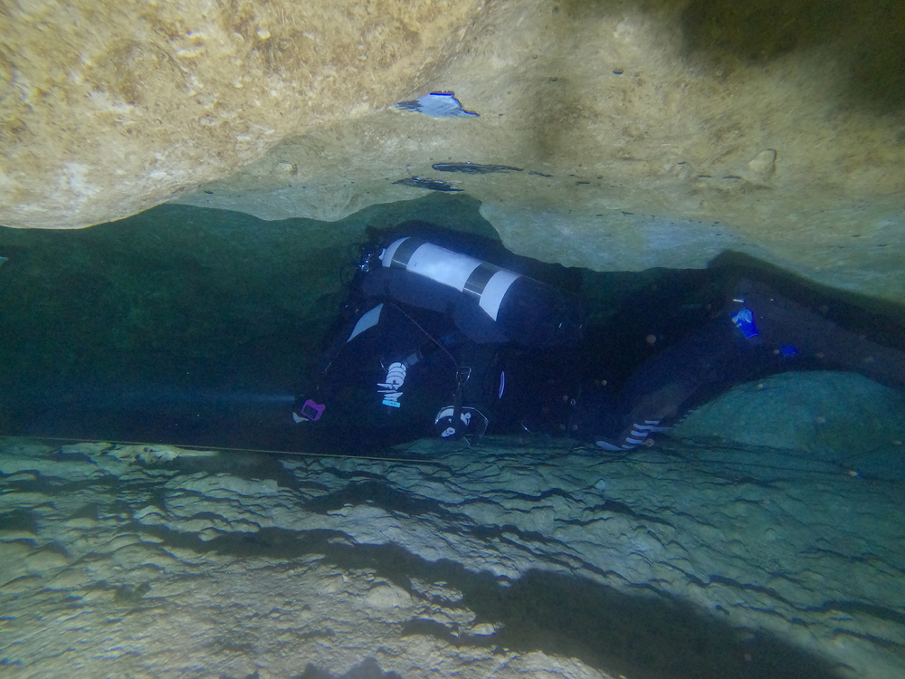Dayo Scuba Center LLC, Orlando Florida www.dayo.com