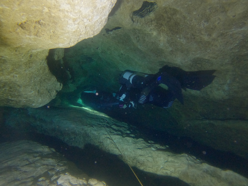 Dayo Scuba Center LLC, Orlando Florida www.dayo.com