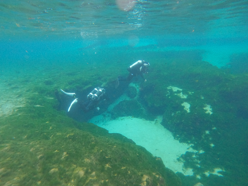 Dayo Scuba Center LLC, Orlando Florida www.dayo.com