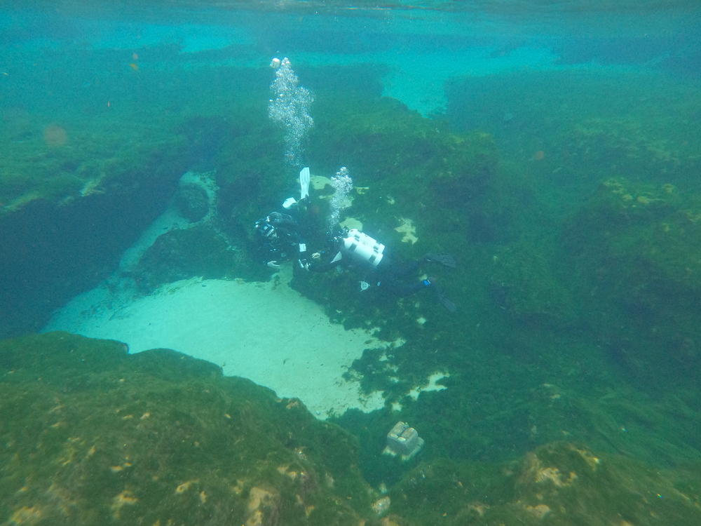 Dayo Scuba Center LLC, Orlando Florida www.dayo.com