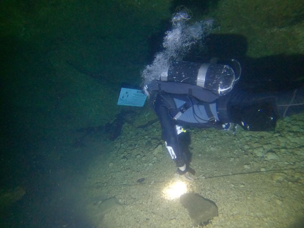 Dayo Scuba Center LLC, Orlando Florida www.dayo.com