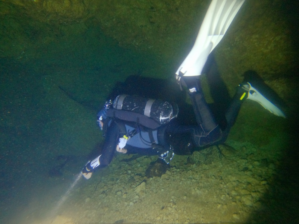 Dayo Scuba Center LLC, Orlando Florida www.dayo.com