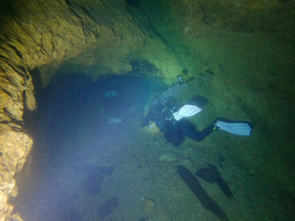 Dayo Scuba Center LLC, Orlando Florida www.dayo.com