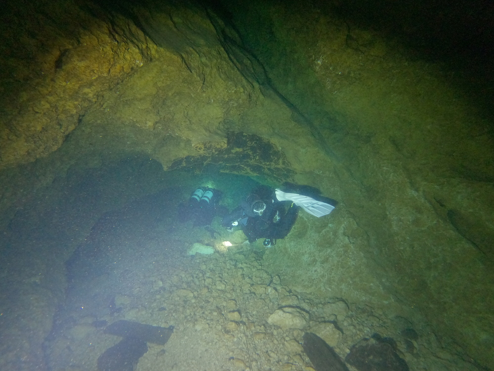 Dayo Scuba Center LLC, Orlando Florida www.dayo.com