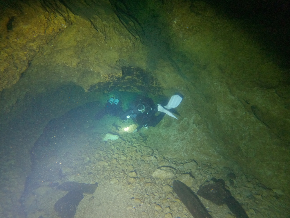 Dayo Scuba Center LLC, Orlando Florida www.dayo.com
