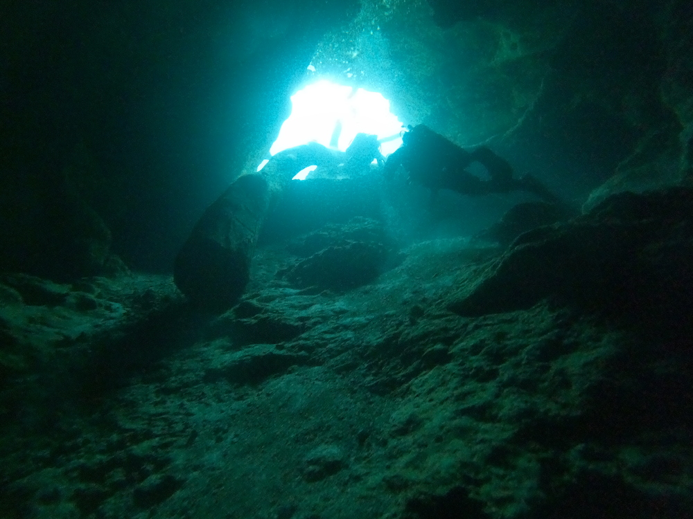 Dayo Scuba Center LLC, Orlando Florida www.dayo.com