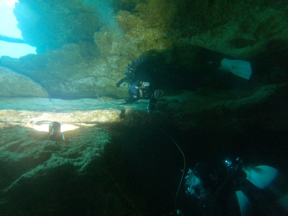 Dayo Scuba Center LLC, Orlando Florida www.dayo.com