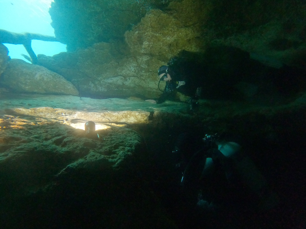 Dayo Scuba Center LLC, Orlando Florida www.dayo.com