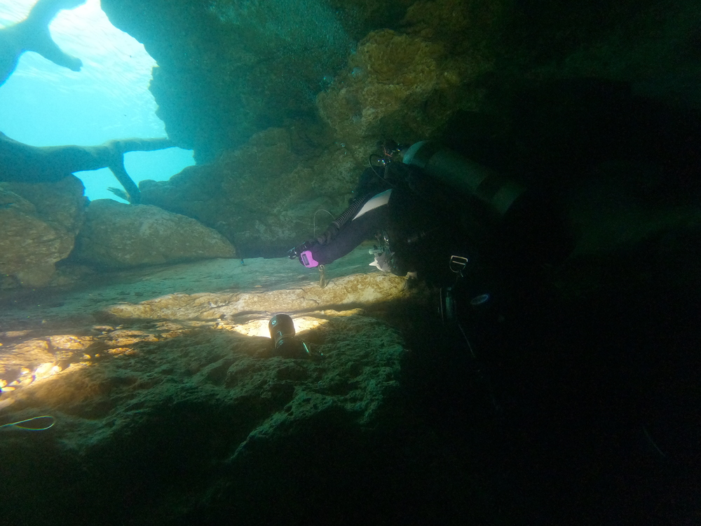Dayo Scuba Center LLC, Orlando Florida www.dayo.com