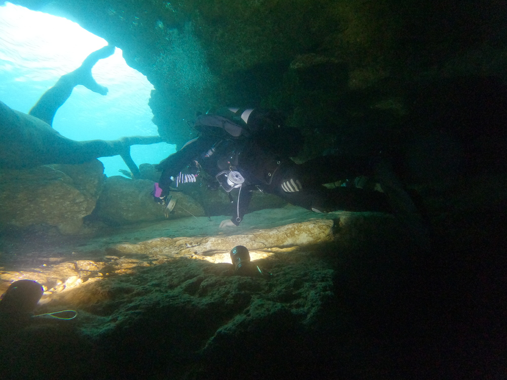 Dayo Scuba Center LLC, Orlando Florida www.dayo.com