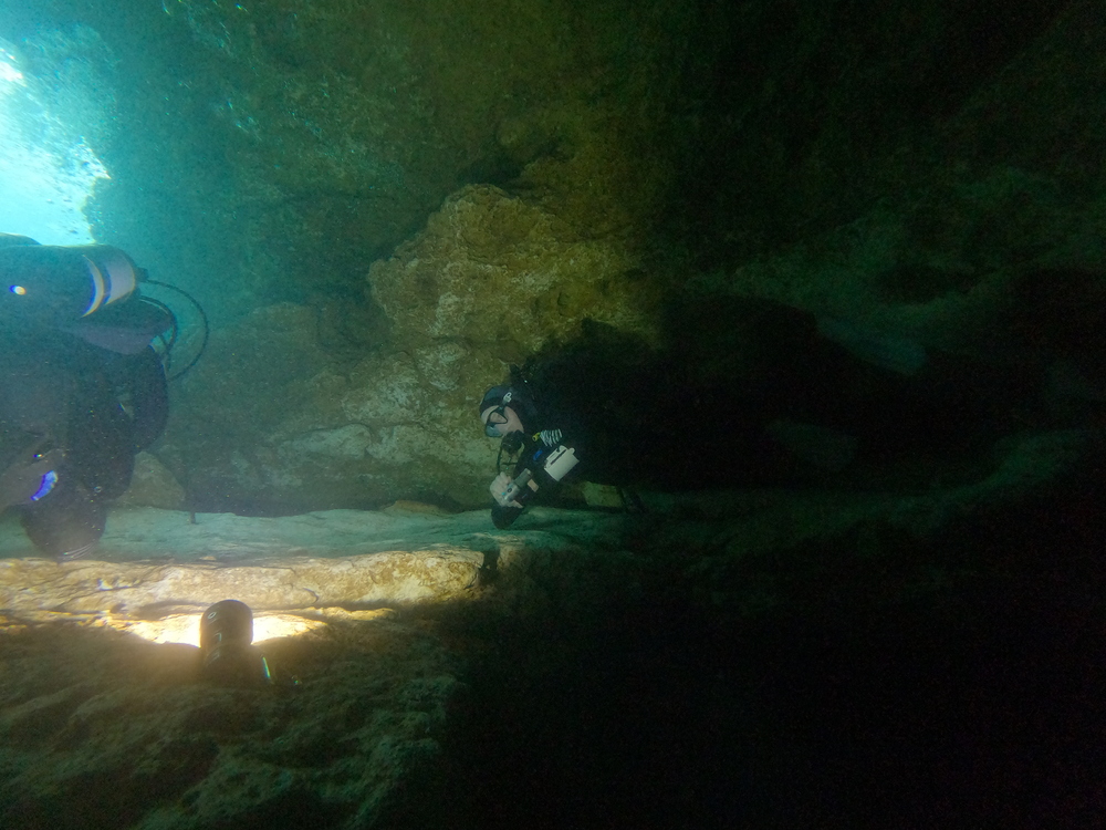Dayo Scuba Center LLC, Orlando Florida www.dayo.com
