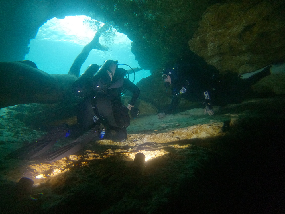Dayo Scuba Center LLC, Orlando Florida www.dayo.com