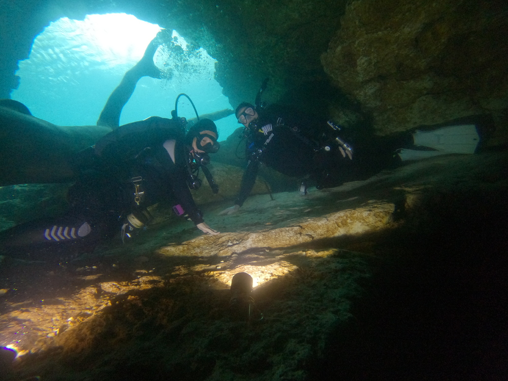 Dayo Scuba Center LLC, Orlando Florida www.dayo.com