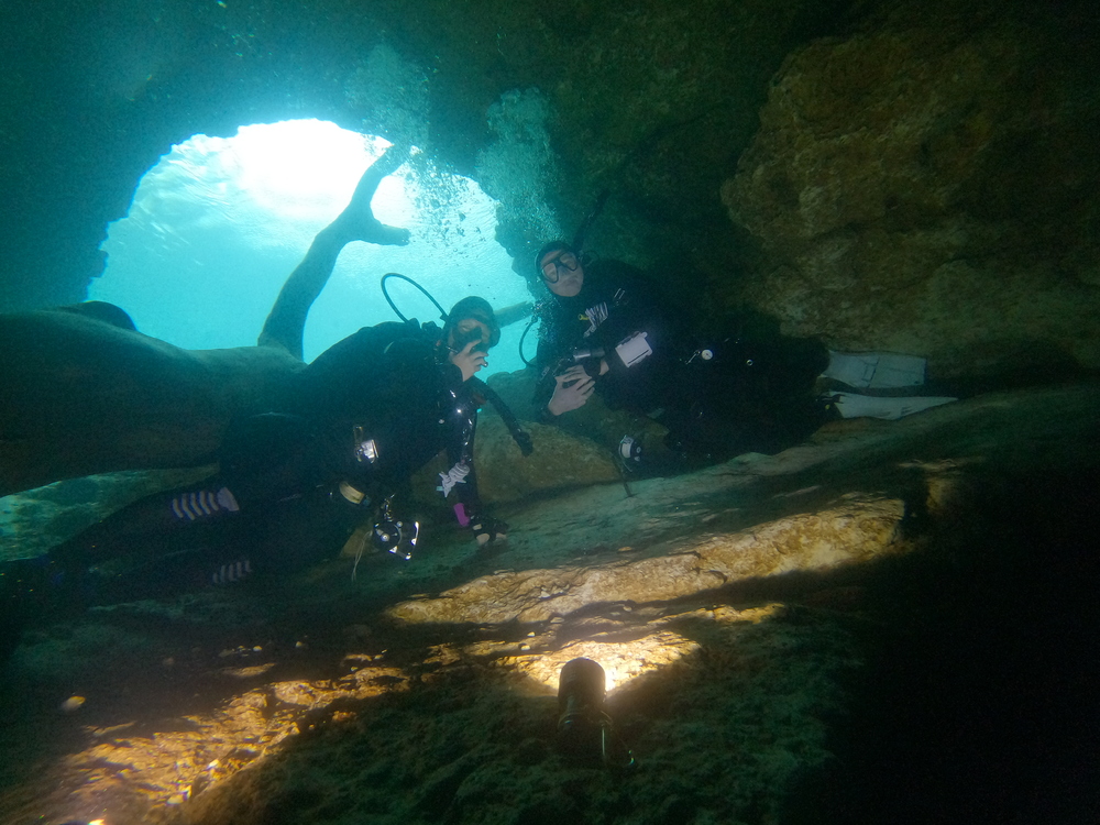 Dayo Scuba Center LLC, Orlando Florida www.dayo.com