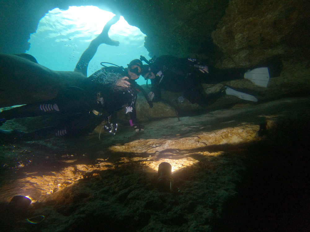 Dayo Scuba Center LLC, Orlando Florida www.dayo.com