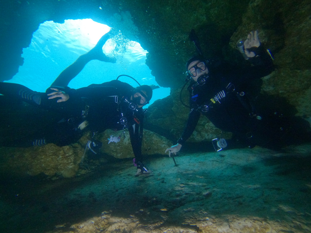 Dayo Scuba Center LLC, Orlando Florida www.dayo.com