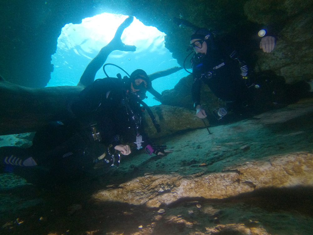 Dayo Scuba Center LLC, Orlando Florida www.dayo.com