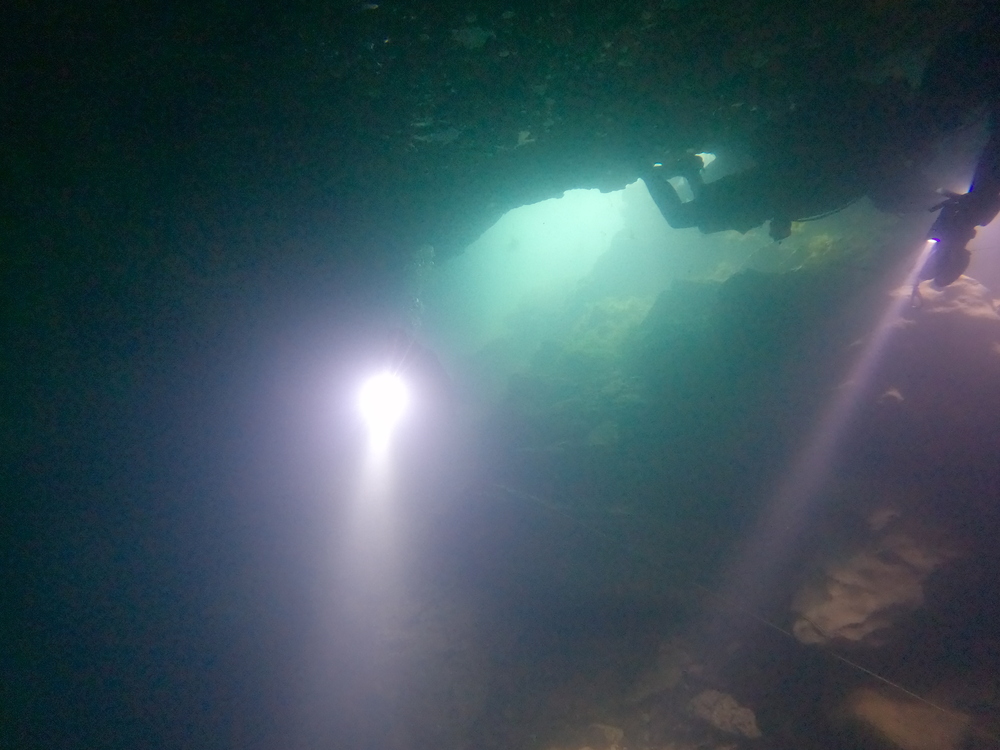 Dayo Scuba Center LLC, Orlando Florida www.dayo.com