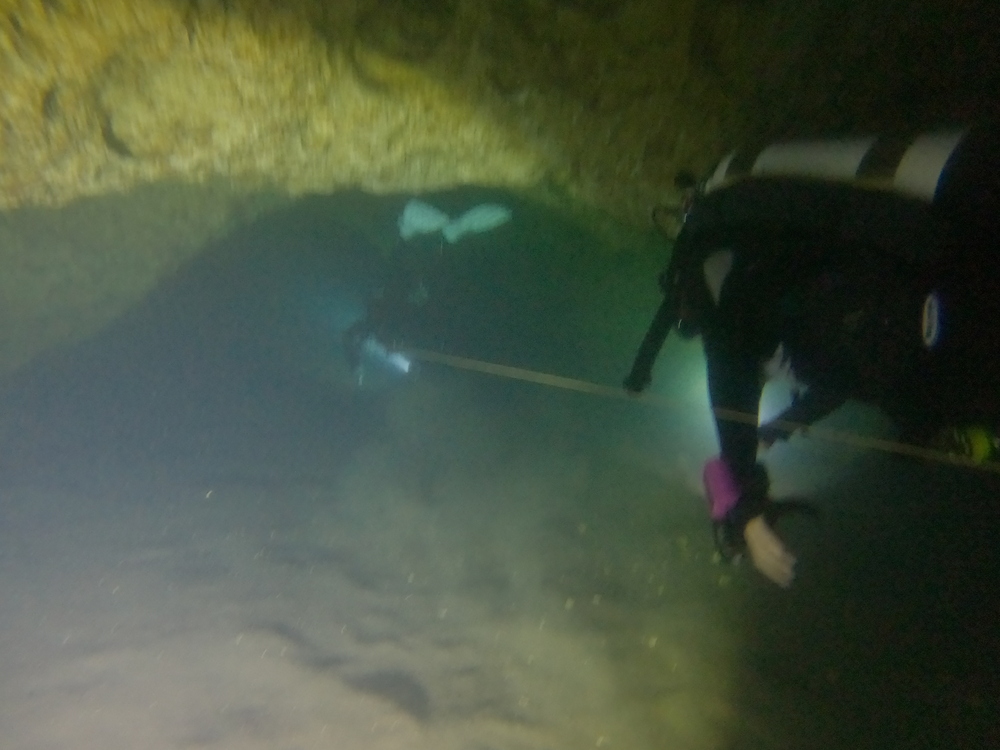 Dayo Scuba Center LLC, Orlando Florida www.dayo.com