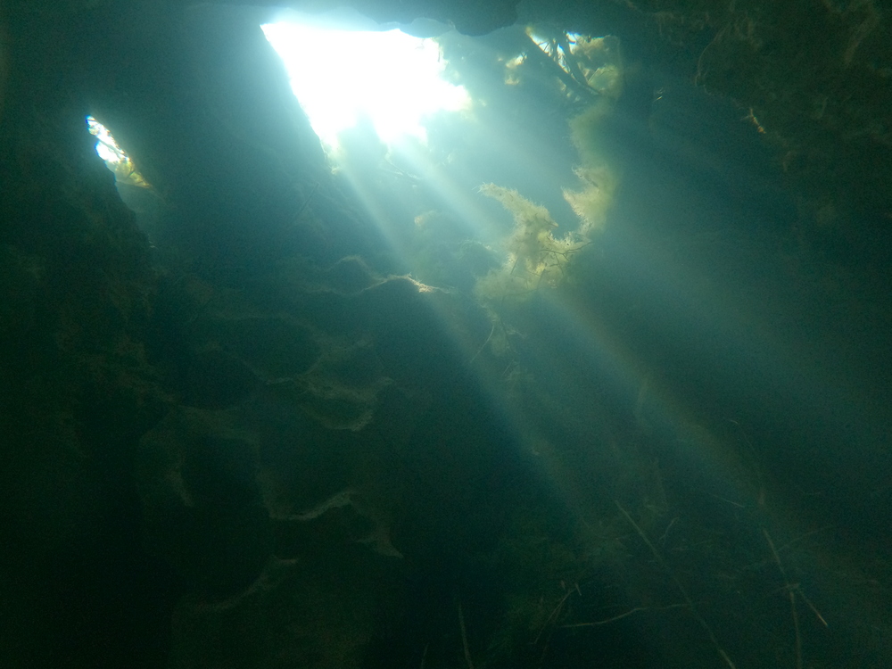 Dayo Scuba Center LLC, Orlando Florida www.dayo.com