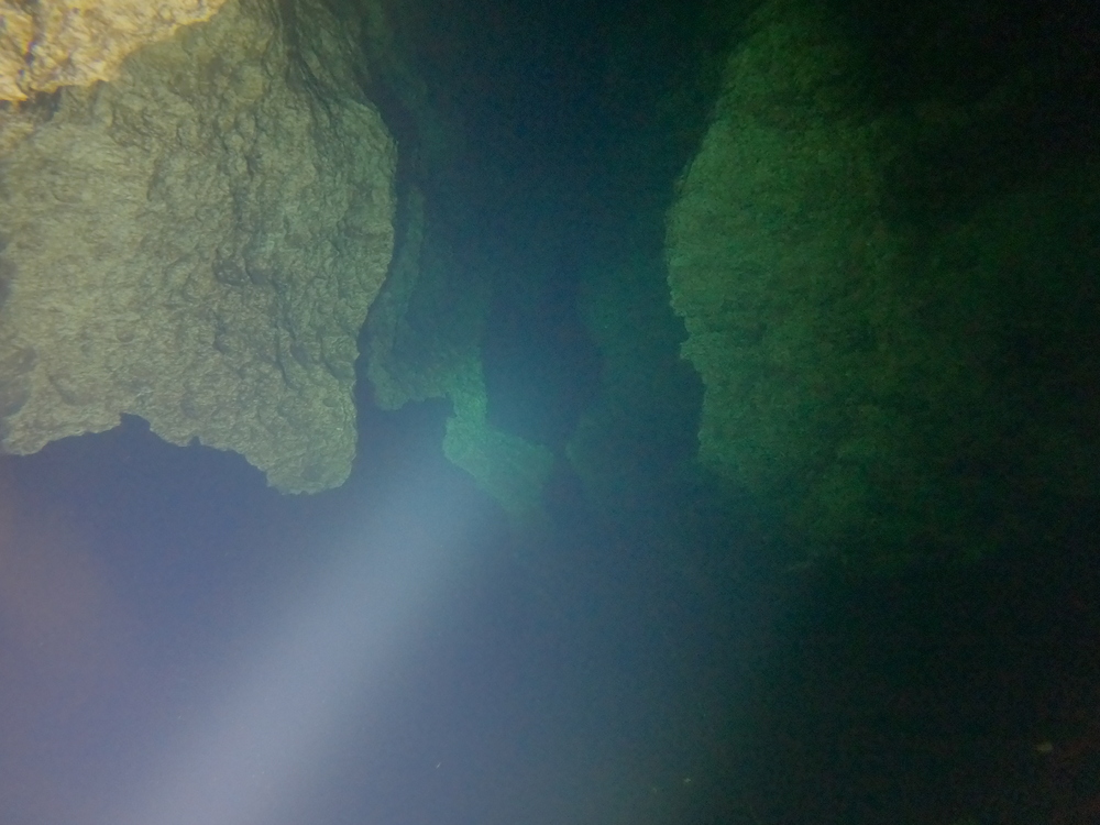 Dayo Scuba Center LLC, Orlando Florida www.dayo.com