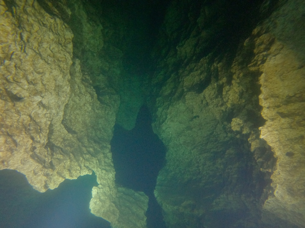 Dayo Scuba Center LLC, Orlando Florida www.dayo.com