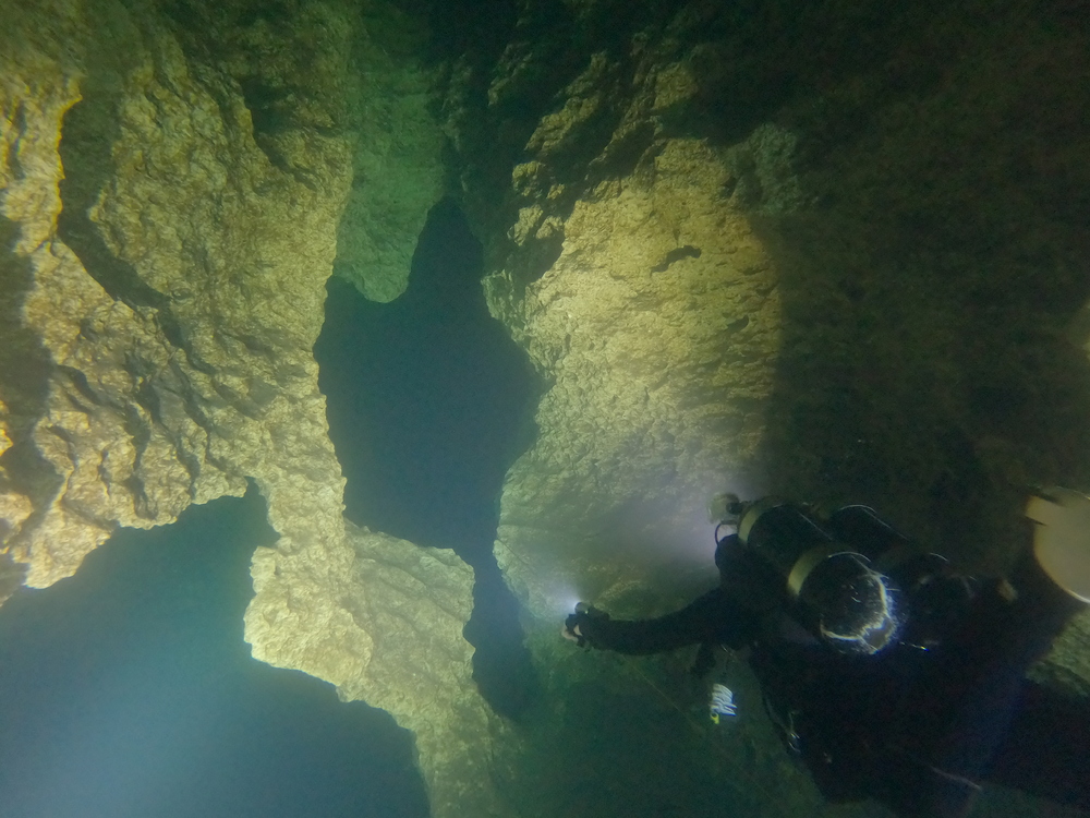 Dayo Scuba Center LLC, Orlando Florida www.dayo.com