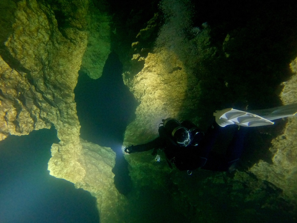 Dayo Scuba Center LLC, Orlando Florida www.dayo.com