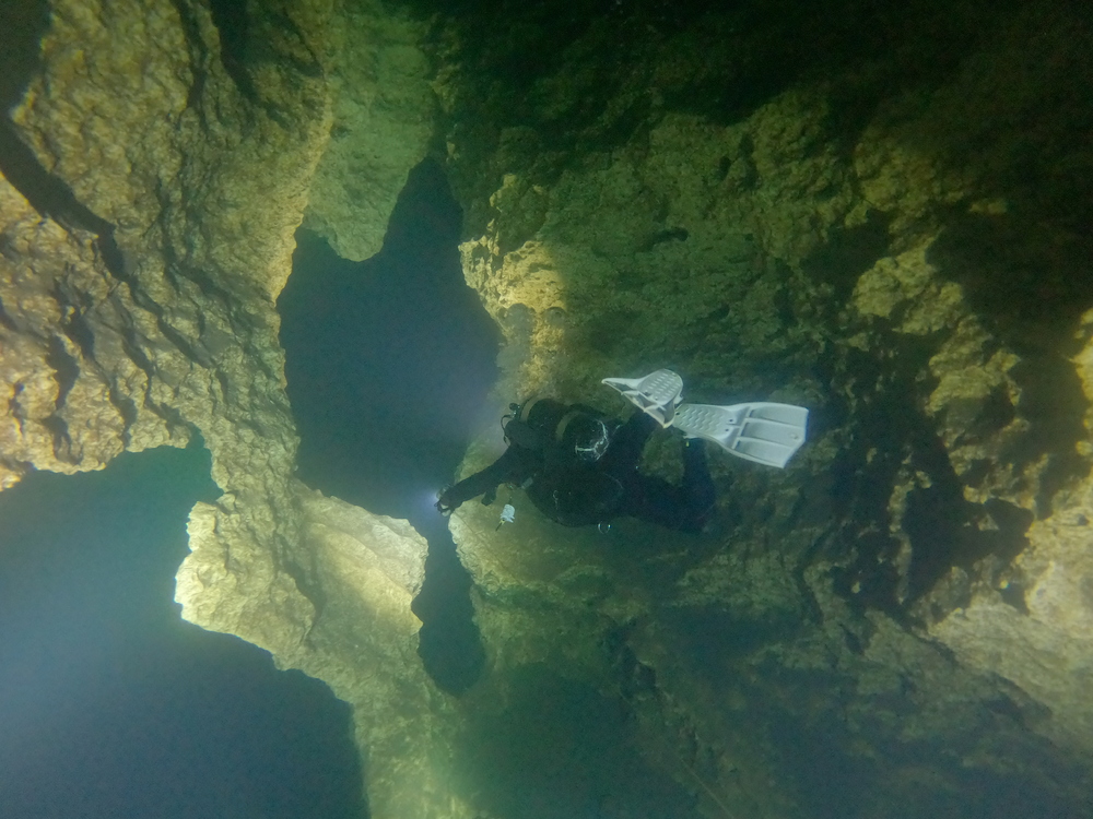 Dayo Scuba Center LLC, Orlando Florida www.dayo.com