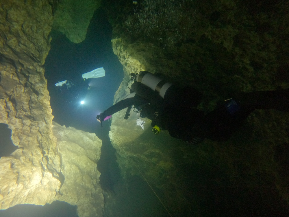 Dayo Scuba Center LLC, Orlando Florida www.dayo.com
