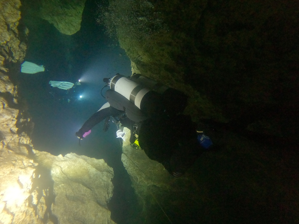 Dayo Scuba Center LLC, Orlando Florida www.dayo.com