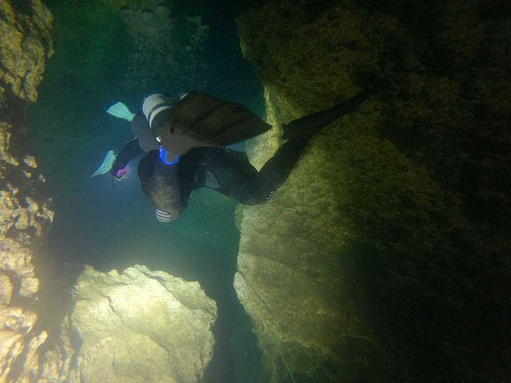 Dayo Scuba Center LLC, Orlando Florida www.dayo.com